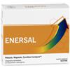 LFP ENERSAL PROMO 12 BUSTINE