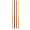 Schiavi Sport Schiavi Paletto Slalom (12 pezzi) - art. 1109 10 Kg