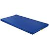 Vivisport Materasso Rivestito in pvc - Fondo Antiscivolo 200x100x5cm - ART. 1201 1 Kg