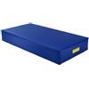 Vivisport Materasso Densità 18 - Fondo Antiscivolo 200x100x20cm - ART. 1251 20 Kg