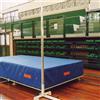 Vivisport Materasso Densità 18, Pieghevole - Fondo Antiscivolo 200x400x20cm - ART. 1279 20 Kg
