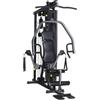 Horizon Fitness Horizon Functional Trainer Torus 3 220 Kg