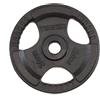 Toorx Disco Ghisa Nero kg 20 Diam.50 mm - DGN-TG20