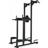 Toorx Professional Toorx Struttura Chin/Dip/Leg raise WBX-B2800 - Black Edition 100 Kg