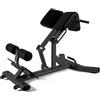 Toorx Professional Toorx Panca Lombare Regolabile WBX-B2600 - Black Edition 50 Kg