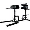 Toorx Professional Toorx Panca GHD WBX 250