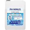Piscinaonline 12 Lt PH minus - Riduttore PH liquido per dosatori automatici piscine 12 Kg