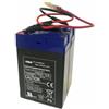 Yamaha Batteria Aqua Cruise / Wave Maker - cod. YZS4E 5 Kg