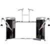 Steelflex Mega Power Dual Cable Column, Chin up and Dips MDC2000 350 Kg