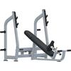 Toorx Professional Toorx Panca Inclinata Olympic WBX-3800 100 Kg