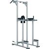 Toorx Professional Toorx Struttura Chin/Dip/Leg raise WBX-2800 100 Kg