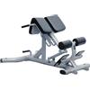 Toorx Professional Panca Lombare Regolabile WBX-2600 50 Kg