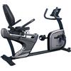 Toorx Vertical Line Bike Recumbent BRX-R3000 64 Kg