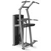 Toorx Professional Toorx Avant line Pin loaded Assisted Pull Up/Chin Up/ Dip PLX-6350 250 Kg