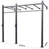 Toorx Professional Toorx Gabbia MASTER 2 campate a muro con Monkey Station - G75-2MMS 200 Kg