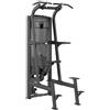 Toorx Professional Toorx Absolute Line Assisted pull up/chin up/dip PLX-8400 250 Kg