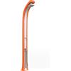Arkema Design Arkema Doccia Tradizionale Spring Plus con Doccetta Mobile e fascia inox - B145 10 Kg