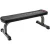 Toorx Professional Toorx Panca Piana WBX 65