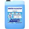 Piscinaonline 10 Lt Winter Algastop - svernante antialghe per piscine 10 Kg