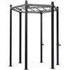 Toorx Crosstraining Functional Master Hexagon - G75-HEX 300 Kg