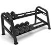 Toorx Professional Toorx Rastrelliera porta manubri componibile 2 ripiani RPMC-2 35 Kg