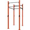 Toorx Professional Toorx Gabbia MASTER OUTDOOR 1 campata autoportante 100 Kg