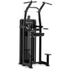 Diamond Chip Up/Dip Professionale Serie 550 - WS550-CHINUPDIP 260 Kg