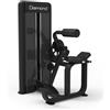 Diamond Back Extension Professionale Serie 550 - WS550-BACKEXTENSION 220 Kg