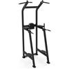 Diamond Chin Up / Dip Bench VKR Professionale Serie 550 - GB550-CHINUPDIP 110 Kg