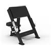 Diamond Scott Bench Professionale Serie 550 - GB550-SCOTTBENCH 70 Kg