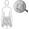 Mesis Magnetowaves - Diffusore tessile Alta frequenza fascia Glutei 10 Kg