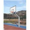 Vivisport Impianto monotubo, installabile basket/minibasket, tabelloni in legno, fissaggio a terra con bussola, struttura smontabile - ART. 4212 230 Kg
