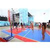 Vivisport Impianto volley-Minivolley-superminivolley zavorrato, trasportabile su ruote, con tendirete a fibbia - art. 5300 100 Kg
