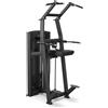 Toorx Professional Toorx Avant line Pin loaded Assisted Pull Up/Chin Up/ Dip PLX-B6350 250 Kg