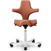 HAG Capisco 8106 - Coral CPT4301 20 Kg