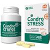 INNOVET CONDROSTRESS (+) 90 compresse