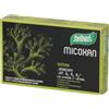 Santiveri Sa Micoxan Somax 18 g Capsule