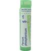 Boiron Ferrum Phosphoricum Boiron Ferrum Phosphoricum 5CH Medicinale Omeopatico in Granuli, 4g