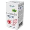 World Health Company COLESTERINA 60 CAPSULE