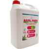 KROLL Detergente sapone lavamani concentrato Kroll Asuil Forte Ecolabel 5 litri