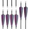 PHILOCS 12 pz ID 4,2mm Freccia in Puro-carbonio, Spine 300 400 500 600 700 800 900 1000 Freccia da Caccia, 4 Piuma di Tacchino Grigio Viola, per Ricurvi/Compound Arco Tiro con l'arco (31inch,Spine 300)