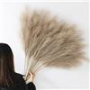 YiYa 12 Pcs Erba di Pampa Decorativa 113cm Decorazione Pampas Secca Grande Fiori Secchi Decorativi per Vaso per Soggiorno, Casa, Pavimento, Vaso, Decorazione Boemia (Marrone)