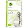 Santiveri NEUNERS TISANA STOMACO BIO 20 BUSTINE