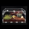 Topspitgo Terrario con lumache in acrilico trasparente, per il trasporto di terrario, per lumache, ragni, geco, criceti, serpenti, tartarughe, terrario, rettili portatili, insetto feeding (30 x 20 x
