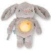 Ingenuity, Peluche Soffice Sylvi Cuddle Pal, Calmante Attivato dal Pianto, 10 Melodie Rilassanti, Coniglietto Morbido, 0+ Mesi, Favorisce il Rilassamento
