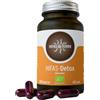 Hifas Da Terra Hifas Detox 60cps