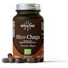 Hifas Da Terra Mico Chaga 70cps