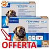 Virbac Dog Effipro Duo Spot-On 40-60 kg - Offerta [PREZZO A CONFEZIONE] Quantità minima 2, Confezione da 4 Pipette