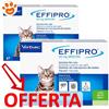 Virbac Cat Effipro Spot-On - Offerta [PREZZO A CONFEZIONE] Quantità minima 4, Confezione da 4 Pipette