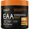 EthicSport EAA Aminoacidi Essenziali Solubili 300 gr